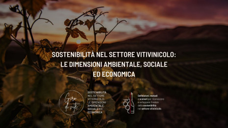 Giro di Vite - Sostenibilità nel settore vitivinicolo: le dimensioni ambientale, sociale ed economica
