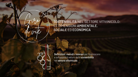 Giro di Vite - sostenibilità nel settore vitivinicolo