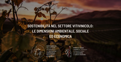 Giro di Vite - Sostenibilità nel settore vitivinicolo: le dimensioni ambientale, sociale ed economica