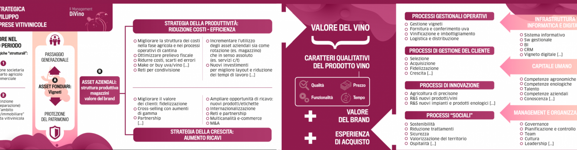 Intervista a Luca Castagnetti - La Mappa Strategica per le aziende vitivinicole